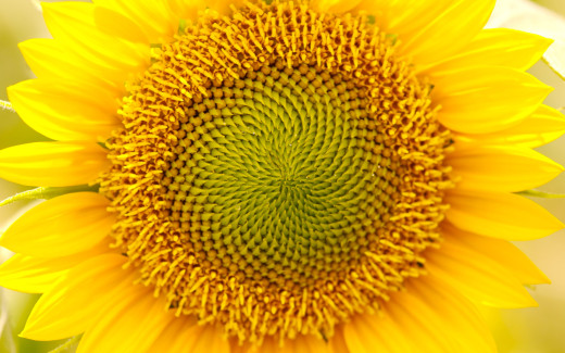 456369 (a): :1920x1200